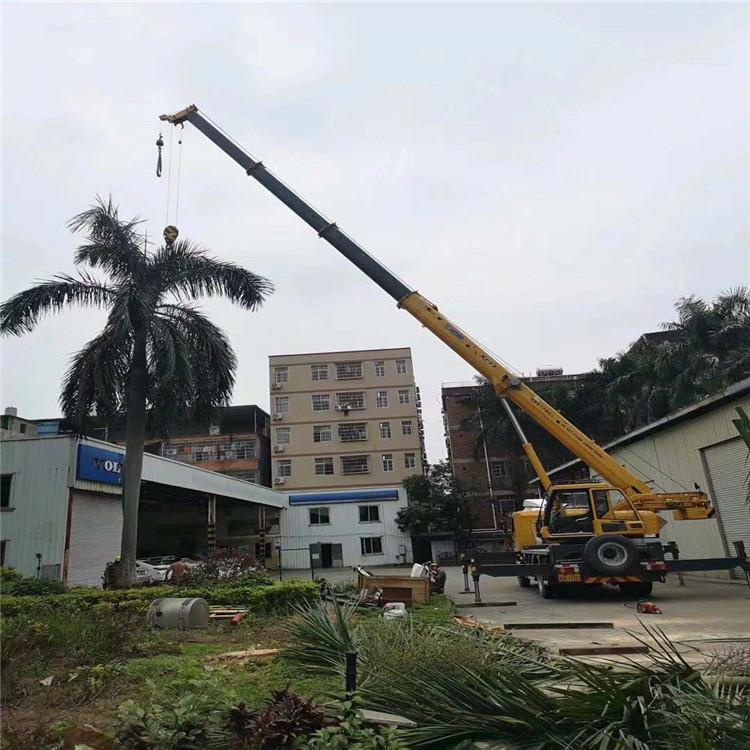 陆川吊车吊大树几种方法